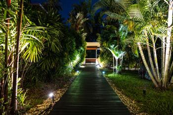 Outdoor landscape lighting featuring custom walkway lighting in Pinecrest, Florida